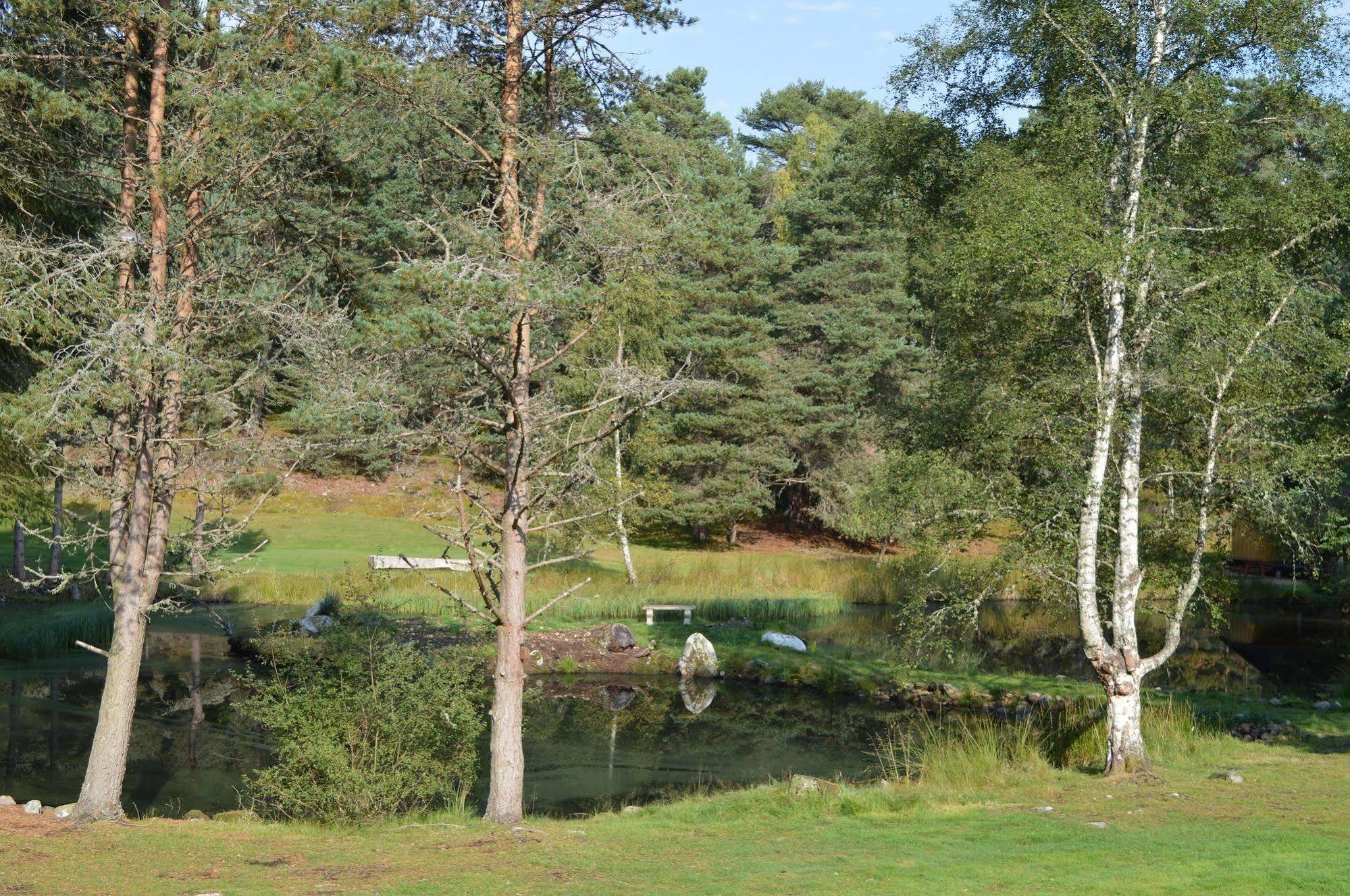 Fairwinds Hotel Carrbridge Zewnętrze zdjęcie