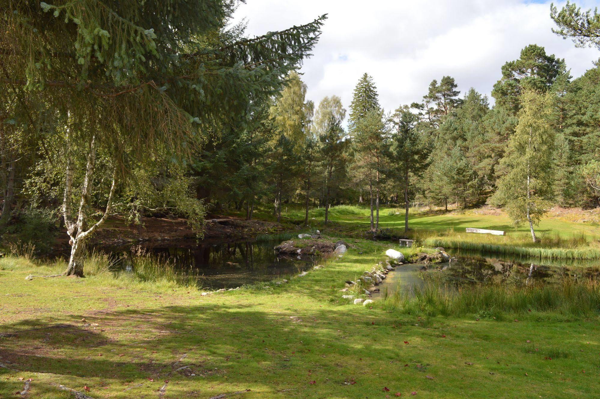 Fairwinds Hotel Carrbridge Zewnętrze zdjęcie